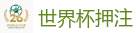 世界杯押注_2026世界杯 (FIFA WorldCUP)中国竞彩指定网站